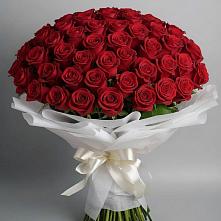 Букет 101 Красная роза Блэк Мэджик в Благодатном