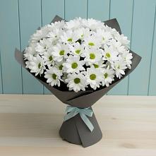 Букет цветов из:  Хризантемы #REPLACE_PRED# Благодатном