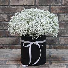 Цветочная композиция из Гипсофила в шляпной коробке в Благодатном